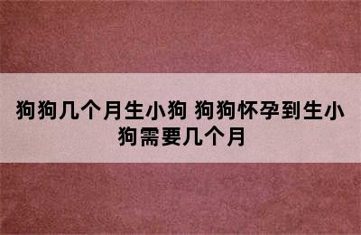 狗狗几个月生小狗 狗狗怀孕到生小狗需要几个月